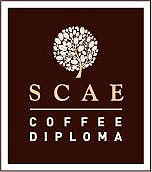 scae-coffee-diploma
